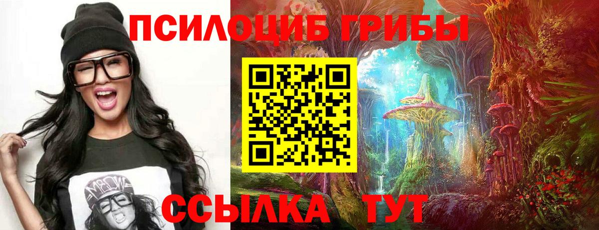Галлюциногенные грибы мухоморы  наркошоп  Тында  Галлюциногенные грибы Cubensis  Вход с VPN 