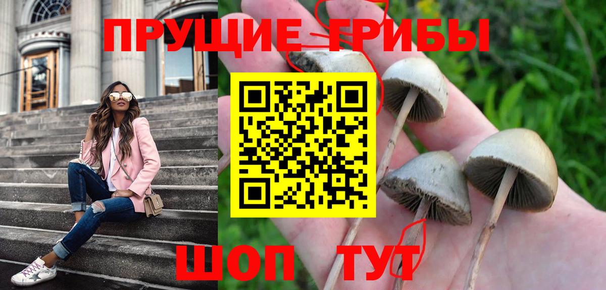 Псилоцибиновые грибы прущие грибы Тында